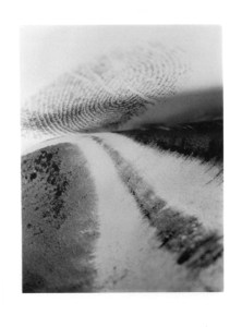 Carte postale Vincenot 1